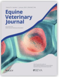 Horses vaccinated with live attenuated intranasal strangles vaccine seroconvert to SEQ2190 and SeM