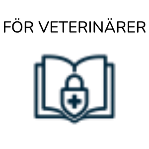 veterinary-professionals-publication-icon-512 Ikon som visar en bok med ett lås