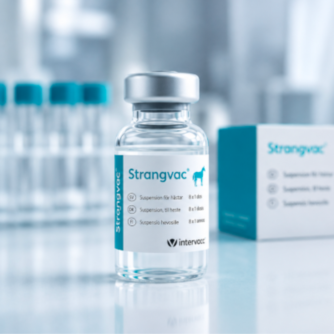 Strangvac fyrkantig En vial med Strangvac i en labbmiljö