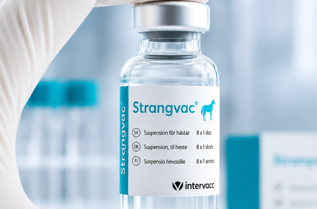 En hand håller en vial med Strangvac